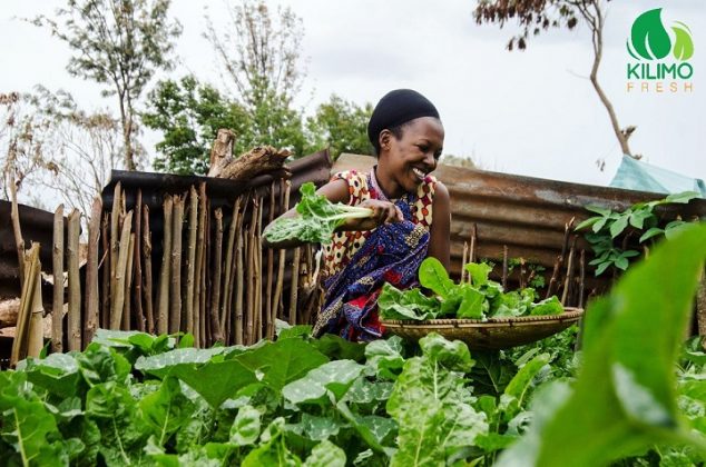 Tanzanias Kilimo Fresh Wins 50000 Mest Africa Challenge 2020 Prize Msme Africa