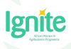 Ignite 202 Funding Opportunity for African Women in Agribusiness
