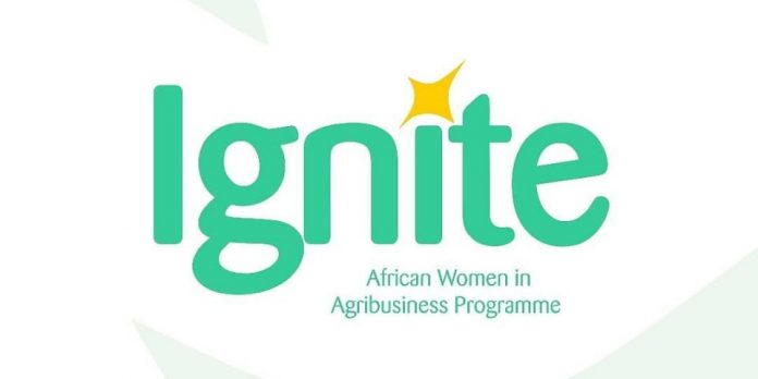 Ignite 202 Funding Opportunity for African Women in Agribusiness
