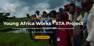 2020 Young Africa Works-IITA project (Entrepreneurship & Employment Tracks)