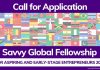 2021 Savvy Global Fellowship Program for Aspiring and Early-Stage Entrepreneurs