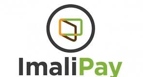 Nigerian Startup ImaliPay Raises Pre-seed Funding