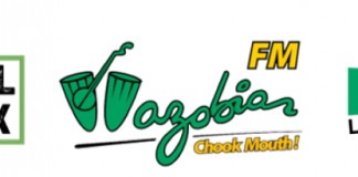 Nigeria Info and Wazobia Max gain broadcast rights ahead of Euro 2020