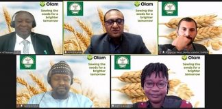 Olam announces N300m investment to set up community seed enterprises to increase wheat production in Nigeria
