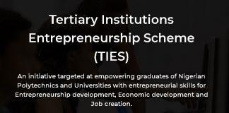 How to Apply for CBN Tertiary Institutions Entrepreneurship Scheme ( N500 Million Grants, Terms Loans & Equity Investment)