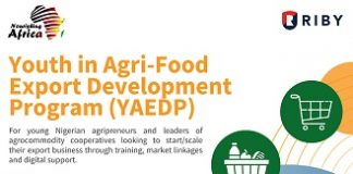 Call for Applications: Youth in Agrifood Export Development Program (YAEDP)
