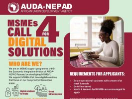 Call for Applications: AUDA-NEPAD Call for MSME-led Digital Solutions
