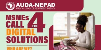 Call for Applications: AUDA-NEPAD Call for MSME-led Digital Solutions