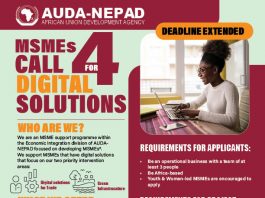 MSME-led Digital Solutions: AUDA-NEPAD Calls on Africa-based MSMEs to submit Proposals