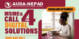 MSME-led Digital Solutions: AUDA-NEPAD Calls on Africa-based MSMEs to submit Proposals