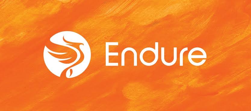 Endure Capital closes first funding series aimed at financing African Startups