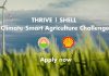 THRIVE l SHELL Climate-Smart Agriculture Challenge