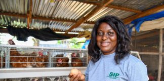 Ghana: African Development Fund approves $27.9 million grant for Savannah Agriculture Value Chain Development Project (SADP)