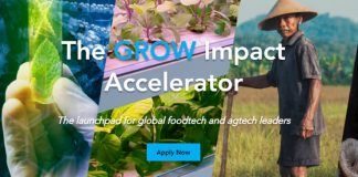 Call for Applications: GROW Impact Accelerator Cohort 4 for Emerging FoodTech and AgTech Startups