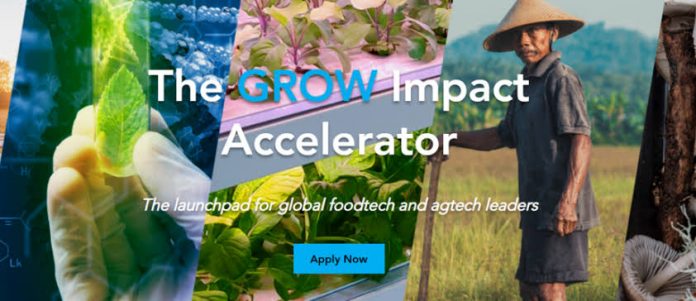 Call for Applications: GROW Impact Accelerator Cohort 4 for Emerging FoodTech and AgTech Startups
