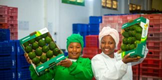 $200 million (USD) Mastercard Foundation Africa Growth Fund Launched for Investment Vehicles (IVs) to Catalyze Job Opportunities