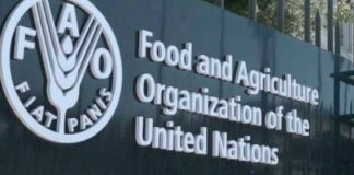 How boosting intra-African agrifood trade will reap rewards for Africa