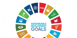 SDSN Nigeria Endorses New SDGs Advocates