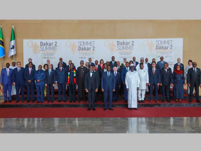 AfDB to inject $10 billion into Africa's Food Security