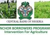 N75b agricultural loan disbursed to SME Farmers, says CBN