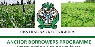 N75b agricultural loan disbursed to SME Farmers, says CBN