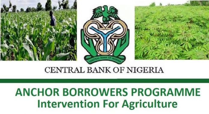N75b agricultural loan disbursed to SME Farmers, says CBN
