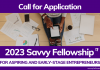Call for Applications: 2023 Savvy Global Fellowship for Aspiring and Early-Stage Entrepreneurs (Fully-funded Virtual Program)