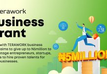 Call for Applications: TERAWORK N5 million Business Grant for Entrepreneurs, SMEs and Startups
