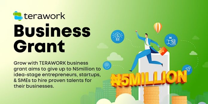 Call for Applications: TERAWORK N5 million Business Grant for Entrepreneurs, SMEs and Startups