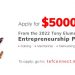 https://msmeafricaonline.com/how-to-successfully-apply-for-tony-elumelu-foundation-5000-grant-for-entrepreneurs/