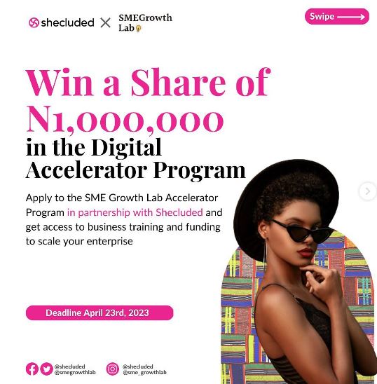 Call for Applications: SME Growth Lab/Shecluded Digital Accelerator Program