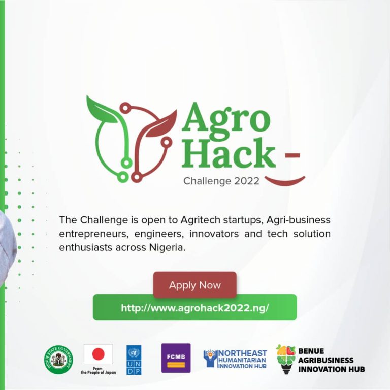 Incubation Programs for Nigerian Startups and Entrepreneurs