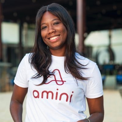Amini raises 2 million dollars to solve environmental data scarcity for Africa