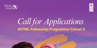 Call For Applications: African Young Women Leaders (AfYWL) Fellowship Programme