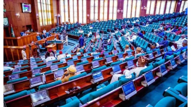 House of Rep Urges CBN to Suspend Implementation of Social Media KYC Requirement