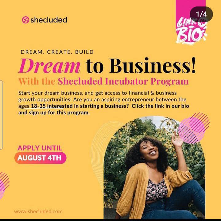 Call For Applications: Dream to Business Shecluded Incubator Program { up to N 2,000,000 funding}