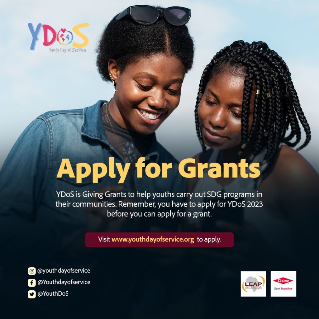 Call for Applications: Youth Day of Service SDG Grant Program