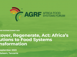Call For Applications: Africa's Food Summit Forum 2023;Recover, Regenerate, Act: Africa’s Solutions to Food Systems Transformation