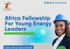 Call For Applications: Africa Fellowship 2023 for Young Energy Leaders