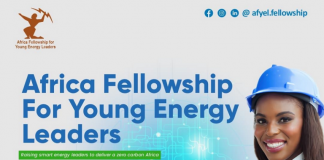 Call For Applications: Africa Fellowship 2023 for Young Energy Leaders