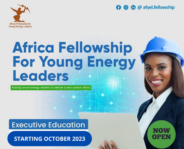 Call For Applications: Africa Fellowship 2023 for Young Energy Leaders