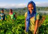 ANFS Partners with G4LP and African Women Economic Development to Empower Female Students in Sustainable Agriculture and Leadership