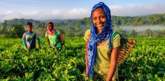 ANFS Partners with G4LP and African Women Economic Development to Empower Female Students in Sustainable Agriculture and Leadership
