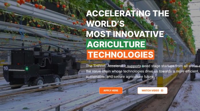Call For Applications: THRIVE Global Accelerator Program 2024 for Agrifood startups