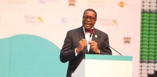 African Development Bank Commits $25 Billion to Climate Finance at African Climate Summit