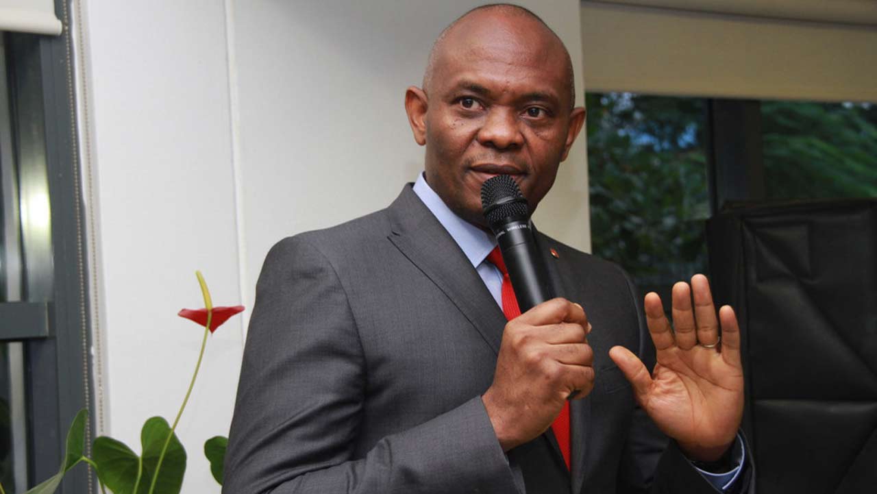 Tony Elumelu Calls for Regulatory Changes to Boost Nigeria's Power Sector and Youth Entrepreneurship