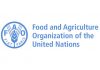 Call For Applications: UN FAO Internship Program for Near East and North Africa (RNE) 2024
