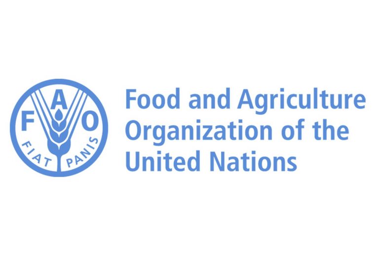 Call For Applications: UN FAO Internship Program for Near East and North Africa (RNE) 2024