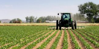 S Government's facilitates $205 Million To Fuels Nigerian Agribusiness