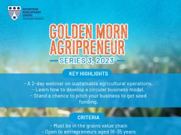 Call For Applications: 2023 Golden Morn Agripreneur Webinar Series 3